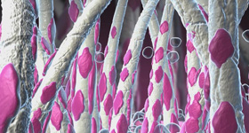 细胞医学动画实验  MG动画